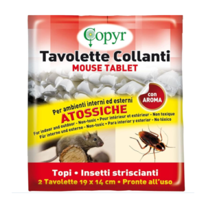 Trappole adesive: colla e tavolette collanti