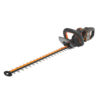 tagliasiepi worx 40v