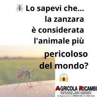 🦟 Lo sapevi che la zanzara è considerata l'animale più pericoloso del mondo 😱
